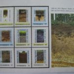 soil-4
