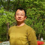 张新